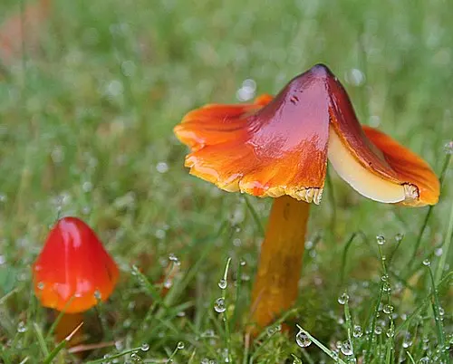 Another view of Witch's Hat
